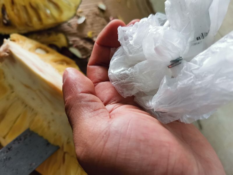 菠萝蜜的胶粘在手上怎么洗掉？以下这3种方法最实用-第9张图片