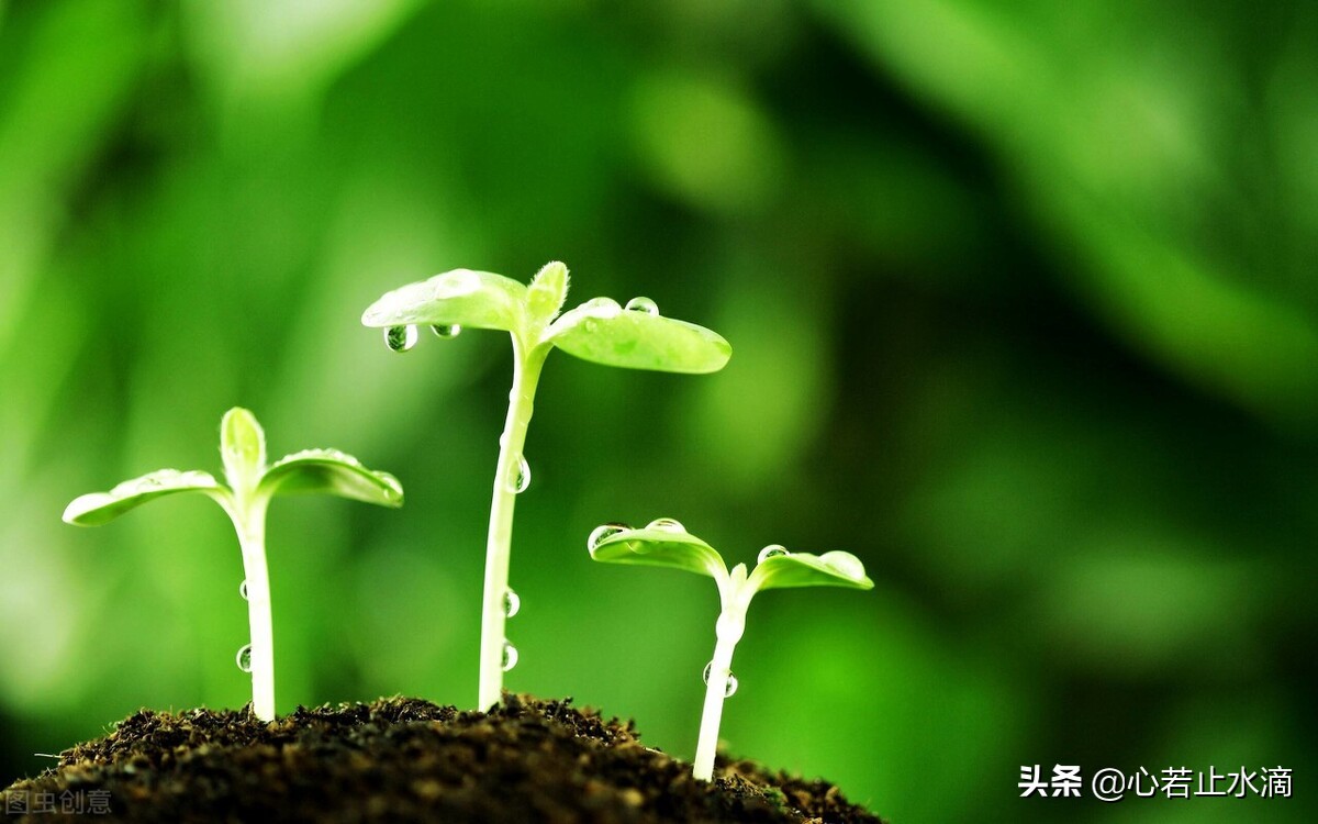 一年四季怎么分（一年四季怎么划分月份：春夏秋冬如何形成？）