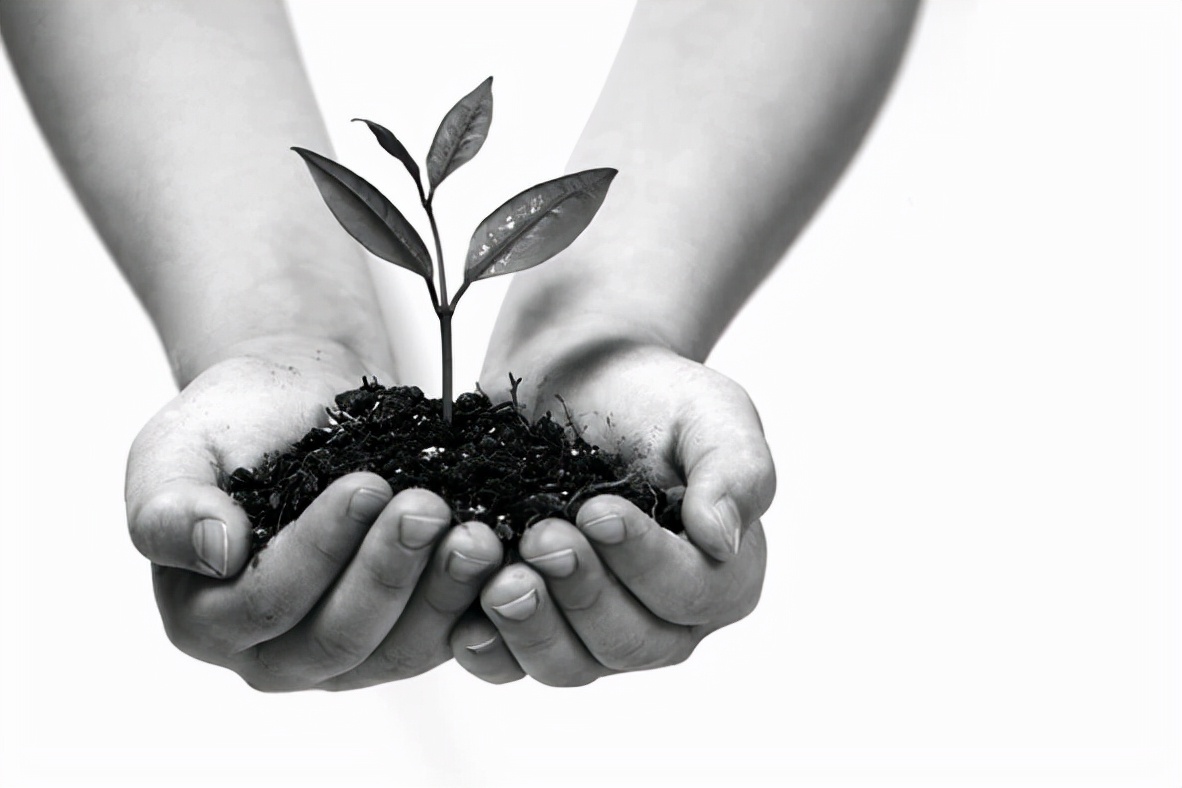 封闭式学校好不好（你家孩子寄宿吗）