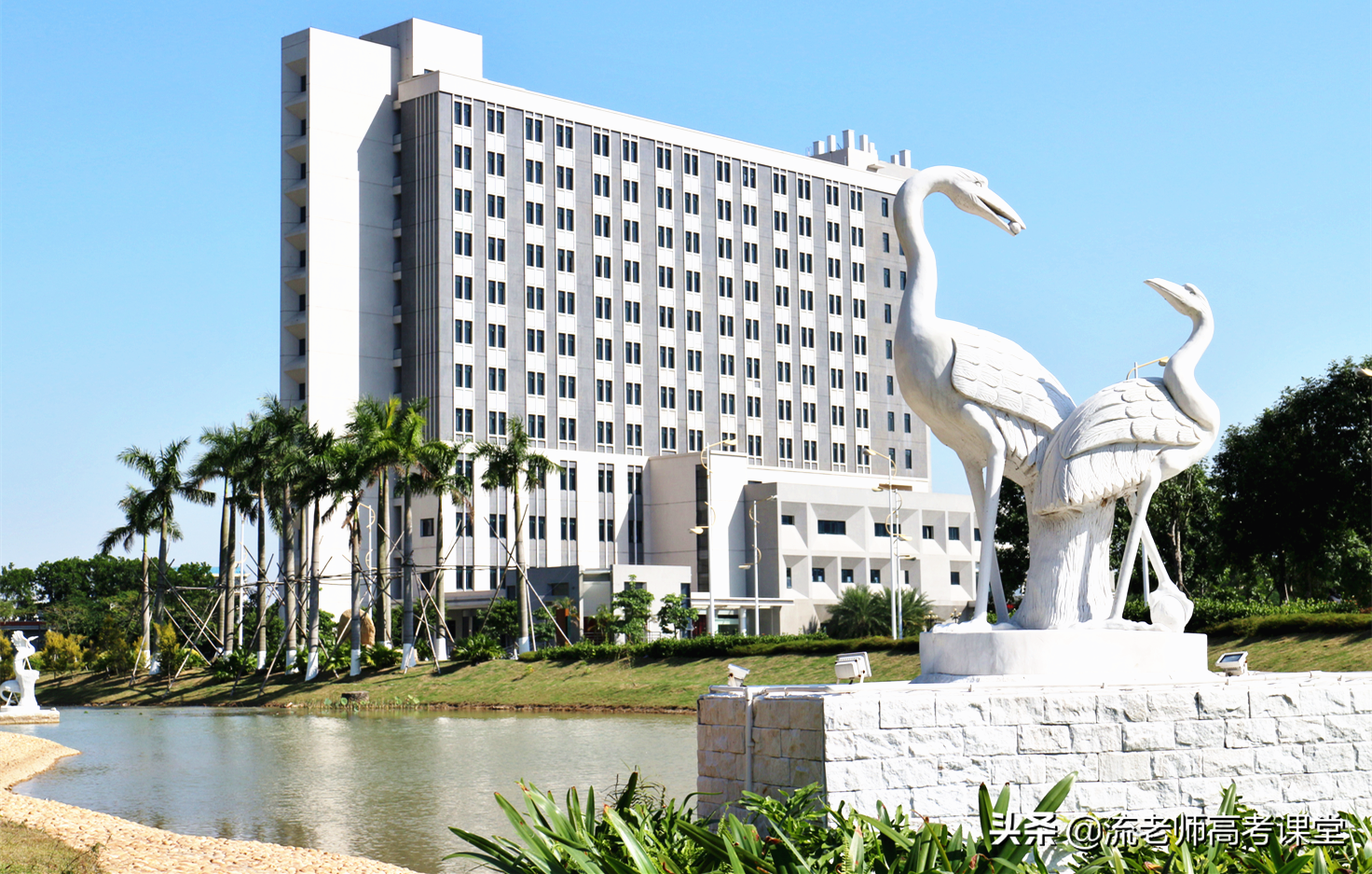 高考600分放弃读211大学，反而青睐民办院校，这到底是怎么回事？