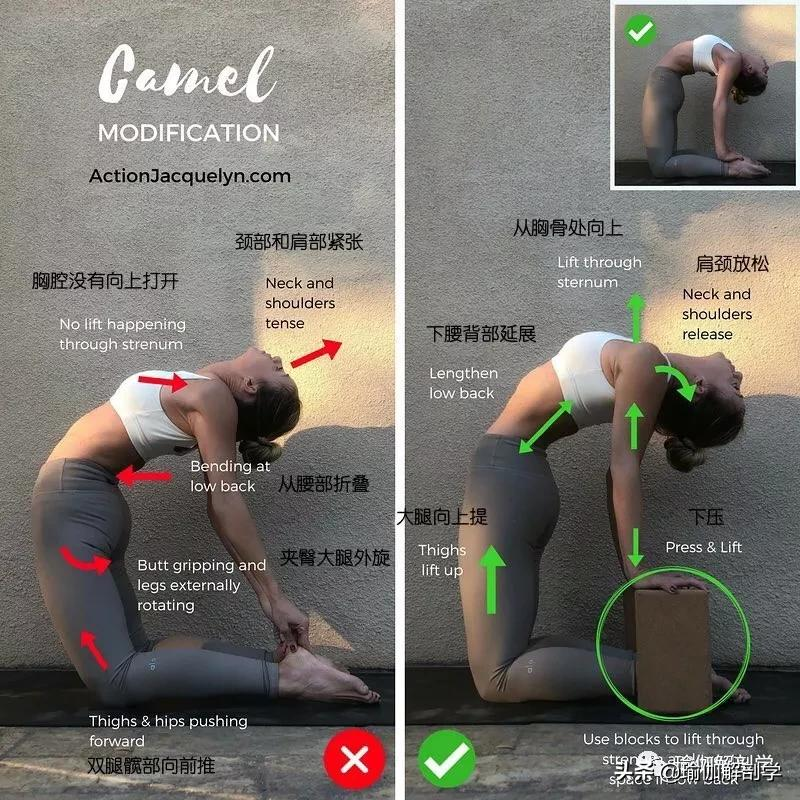 28个常见瑜伽体式“正误对比”图，初学者尤其要注意！（收藏级）