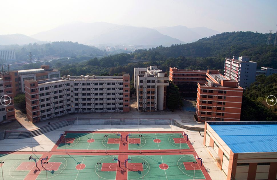 2020年3+证书最低录取167分，广东江门中医药职业学院介绍