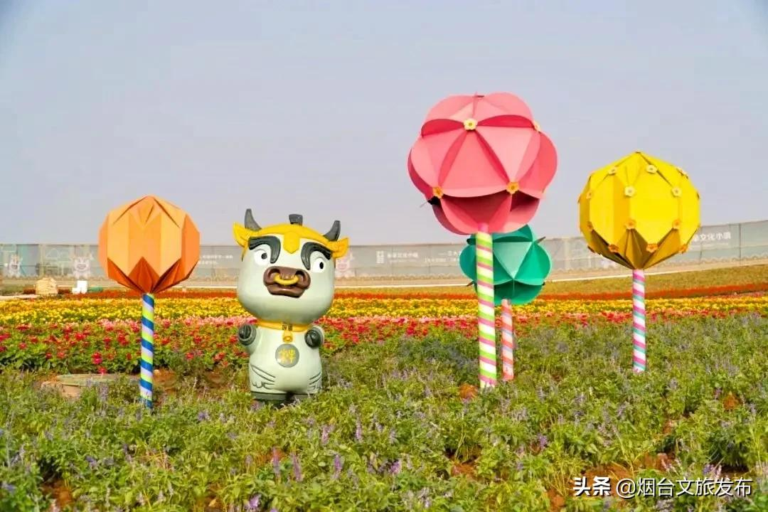 214万+!烟台“国庆”文旅假日圆满收官