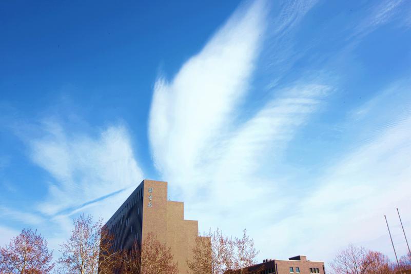 关注！北京石油化工学院晒出2020年