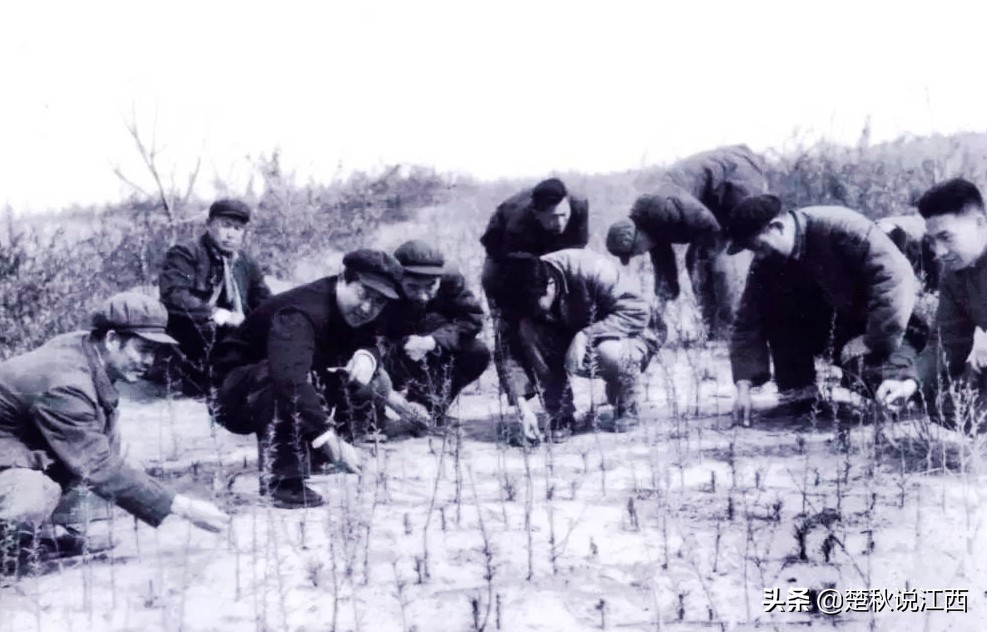 江西青春往事：赣鄱大地上的共产主义大学