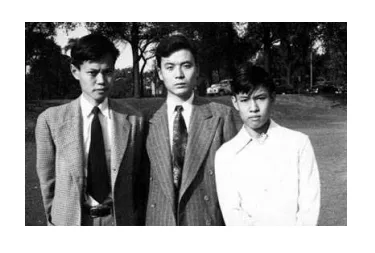 杨振宁先生数理工作漫谈：单位圆定理及其他