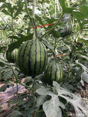 十大特产 之 「北京篇」