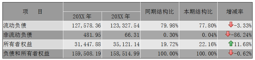 企业年度财务分析报告（案例分析）超详细