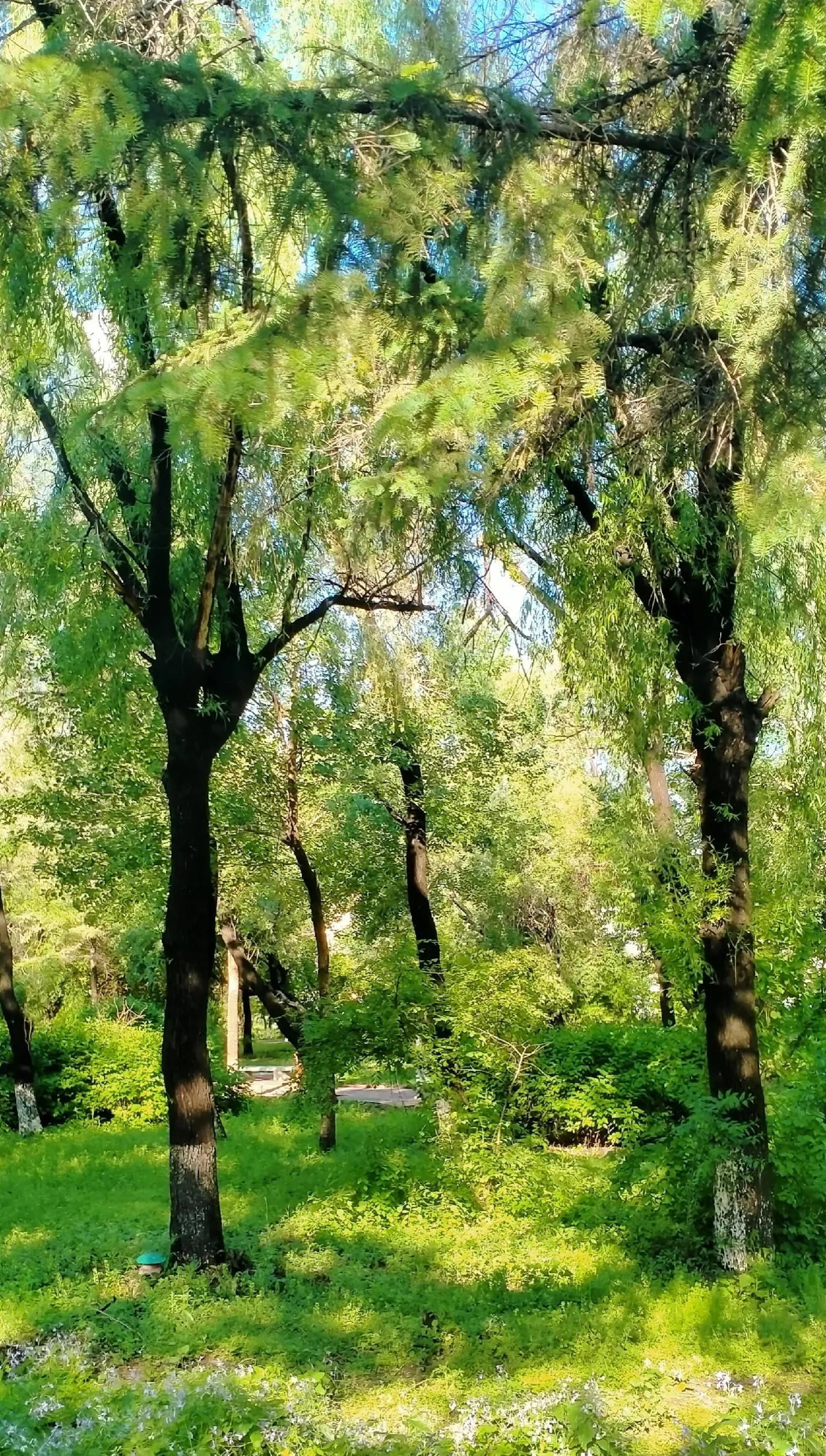 长春师范大学——竟然这么美