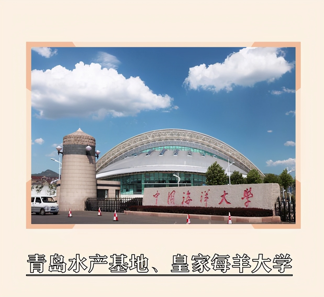 985大学的“土味绰号”，每个都很“接地气”，取名的人是个人才