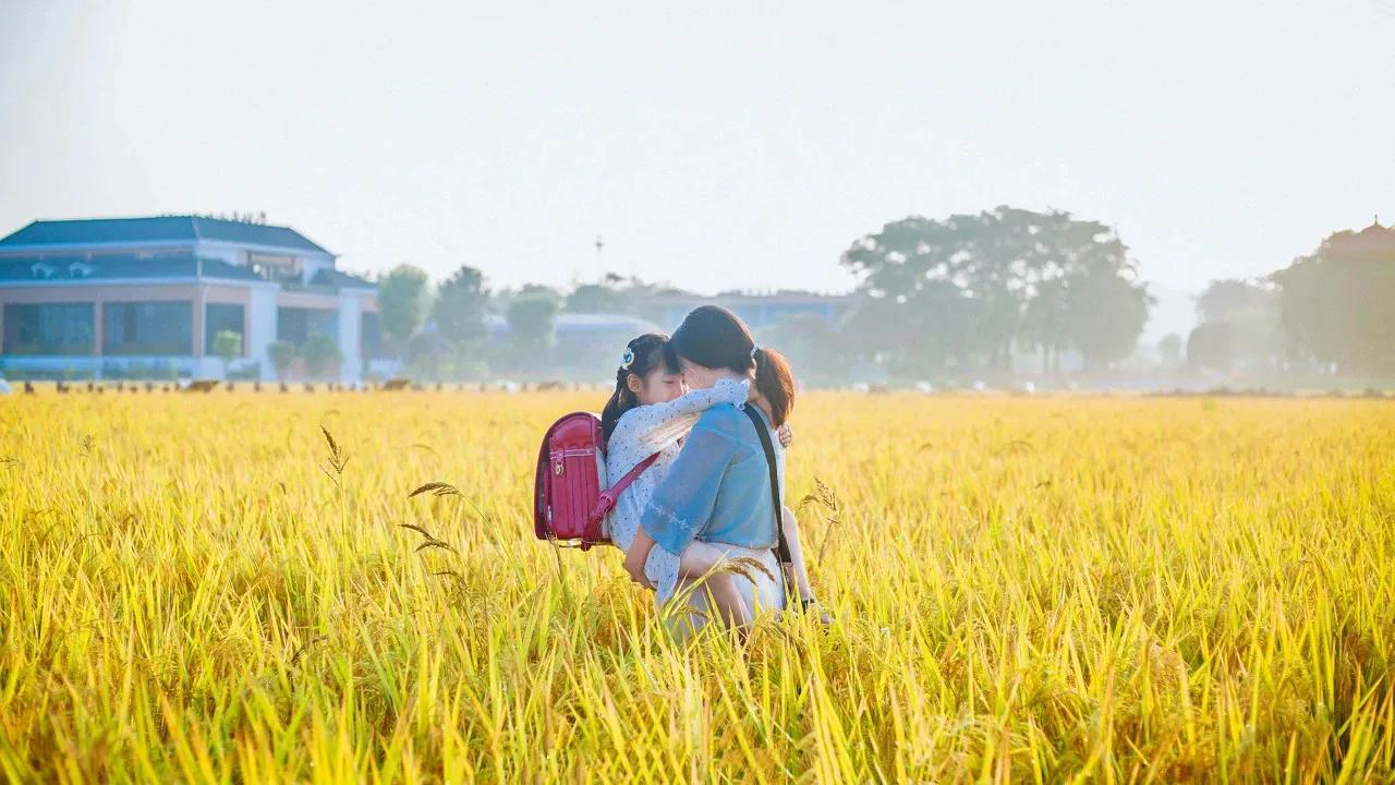 中年人的成熟：放下面子，戒掉情绪，节制欲望