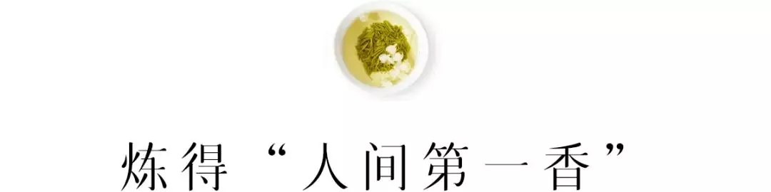 秋天，好在还有这一杯茉莉花茶