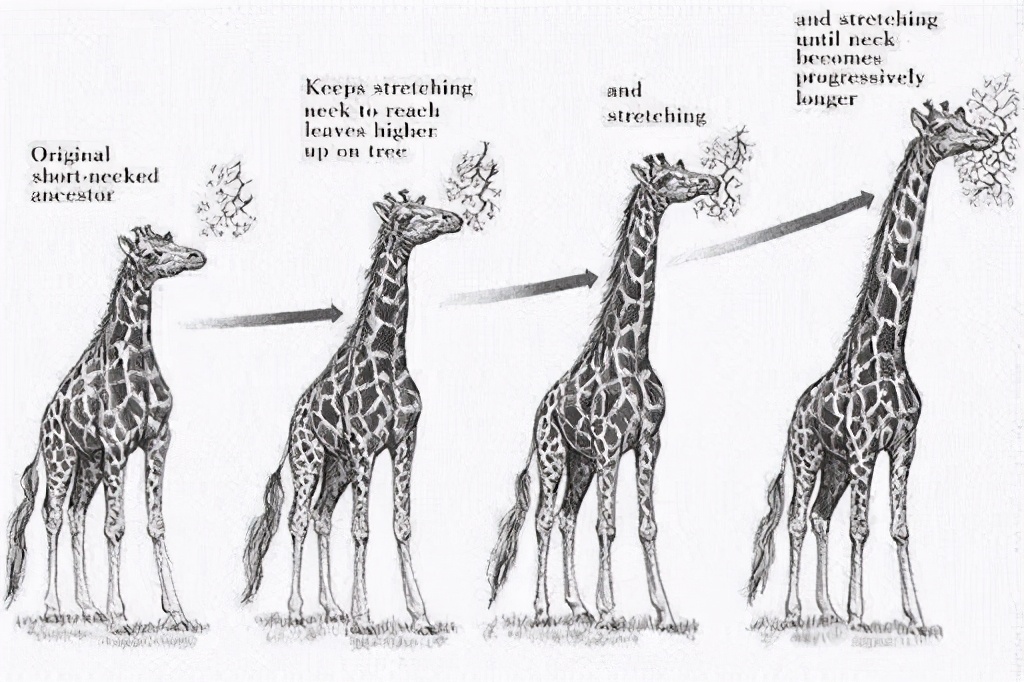 地球上原本并没有人，那第一个女人和男人是如何诞生的？