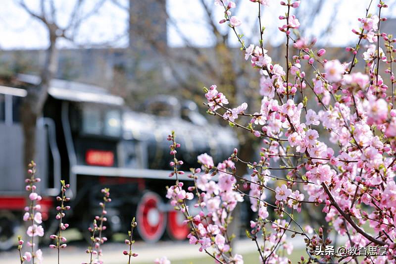 大连东软信息学院创下全国首批“双万计划”民办高校四个第一