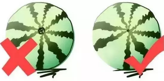 李子是凉性还是热性（最全水果手册赶紧收藏）