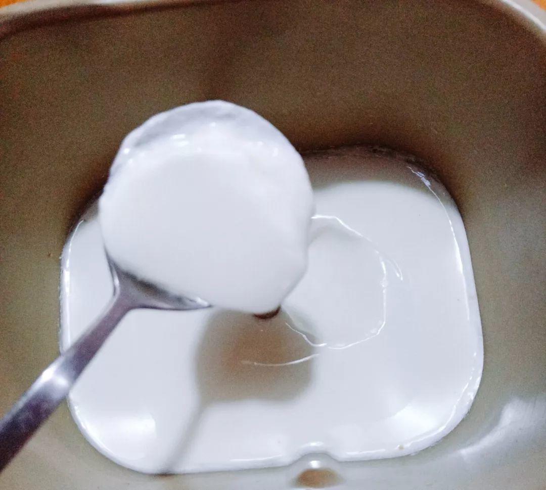 盆里倒一瓶牛奶，虫子全赶跑，叶子油绿发亮还茂盛！