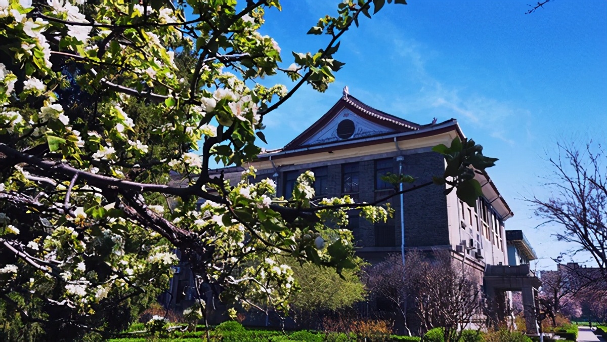 坐拥多个第一，学科成绩亮眼！山东师范大学被省政府“点名”