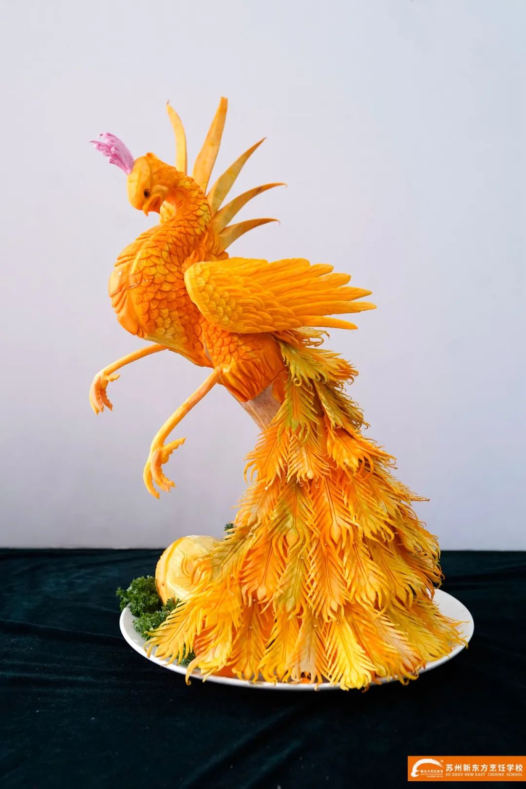 在苏州新东方，课余生活可以这么过