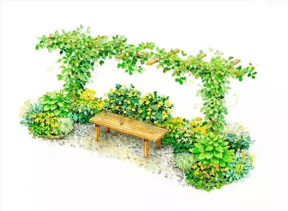 100张世界级花镜大师的手绘作品,以后家里的植物就这么搭配了!