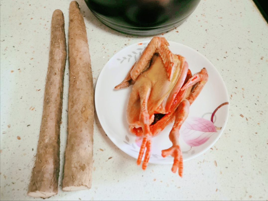 炖鸽子汤时，用老鸽还是乳鸽？教你正确的做法，汤汁鲜美没有腥味