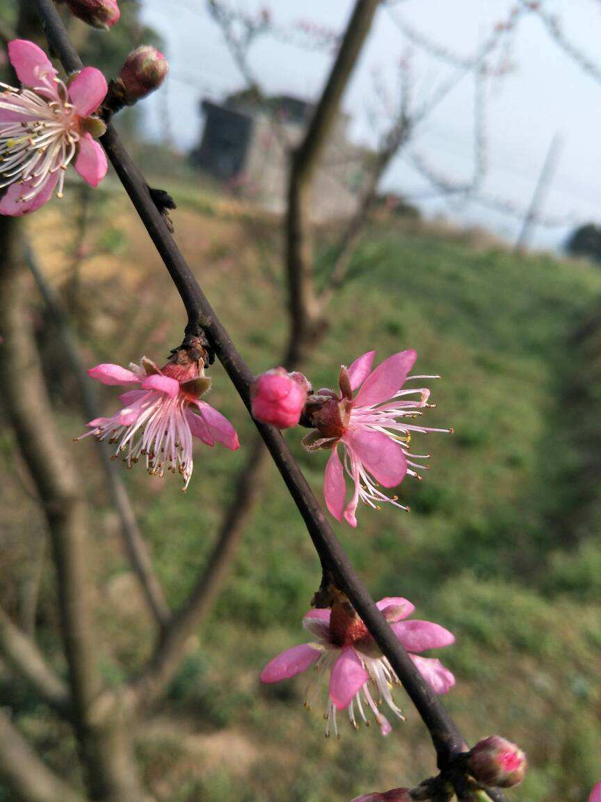 春季是一年伊始，抓住养生好时节，身体更棒