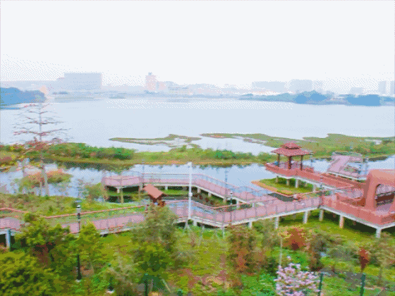 深圳十大免费特色的湖泊公园