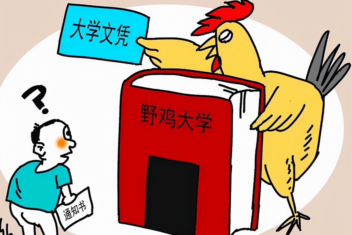 浙江3所“野鸡大学”遭官媒曝光，专坑高三考生，毕业证如同废纸