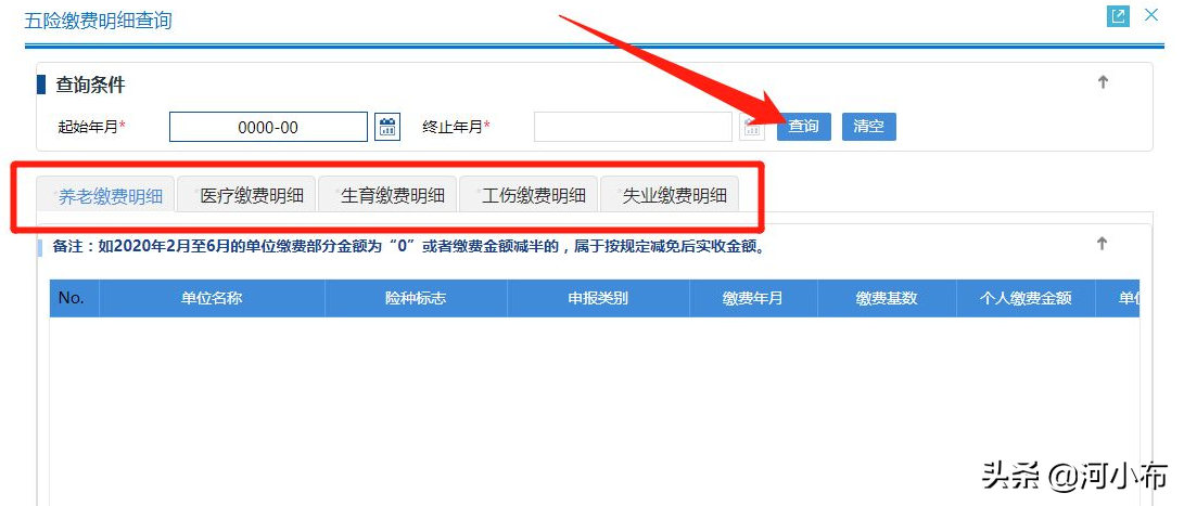 输入姓名查询社保缴费明细 第9张