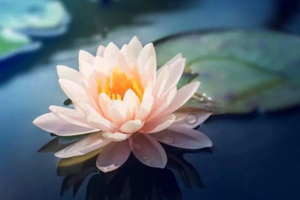 经典哲理：智慧源于内心，莫被表象所迷惑，人生福祸多源于此