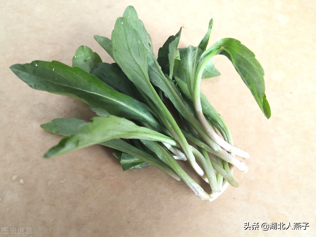 39种野菜图片，教你认识不同的野菜和吃法，你想要的野菜这里都有
