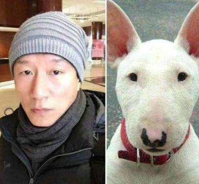家里有小孩又想养狗？这6种狗连小偷都不敢靠近，劝你最好别养