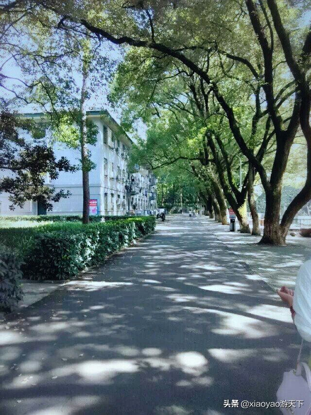 最美大学之旅——华中师范大学