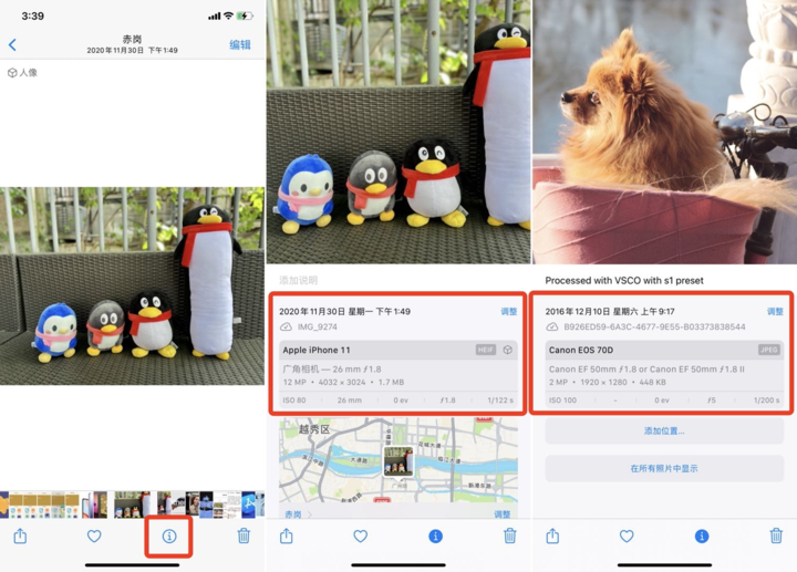 苹果 iOS 15 正式版上线！「实况文本」超实用，20+ 个新功能值得体验