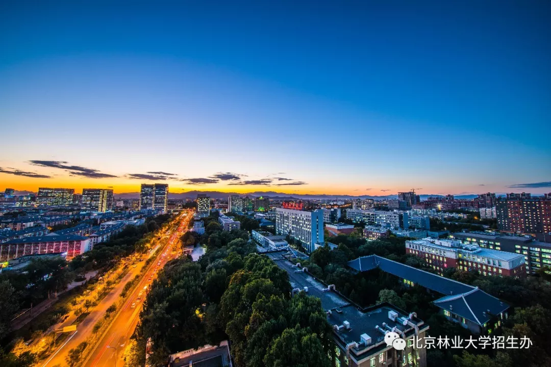 高考倒计时10天！全国最高