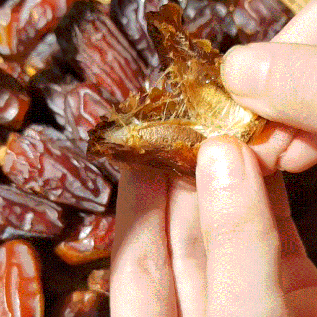 阿拉伯人喜爱的"椰枣"，甜甜糯糯，好吃不怕胖，是你想要的吗？