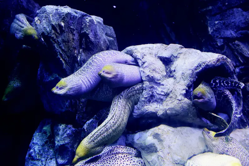 长隆欢乐世界旅游攻略景点必去（三天三夜欢乐长隆之旅）