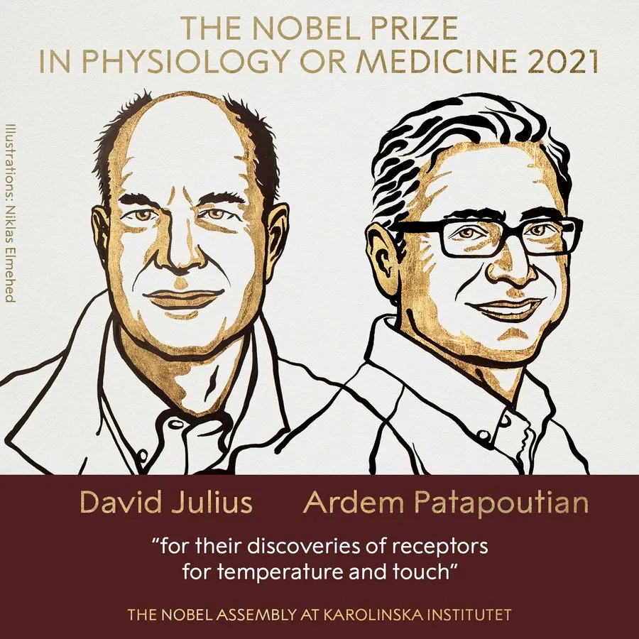 诺贝尔生理学或医学奖颁发给分子生物学，感受器“突出重围”