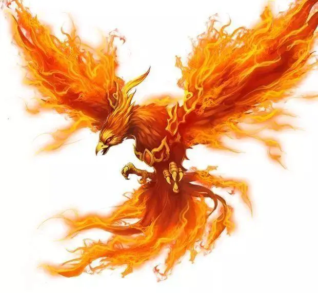 四象神朱雀的前世今生,了解一下!