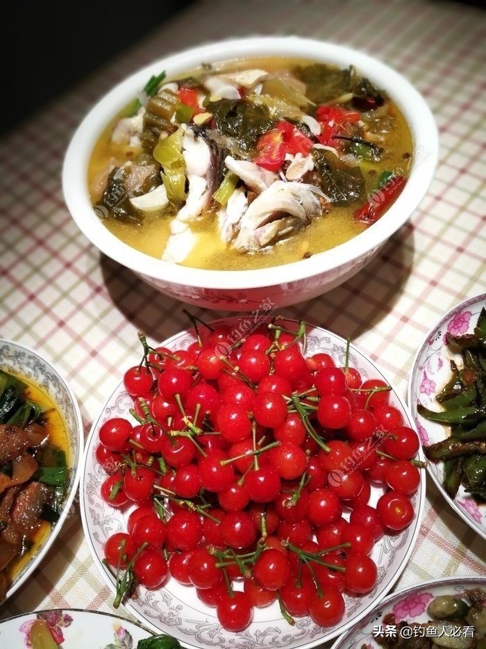 怎樣釣草魚,怎樣釣草魚 釣草魚技巧