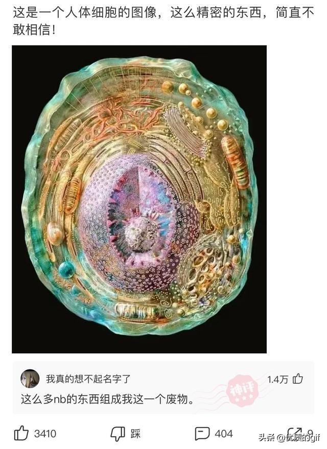 神回复：​友友们，分手了，一人说一句安慰我的话