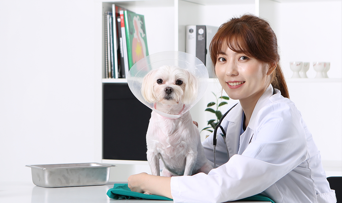 儿子考上985大学，父亲摆酒席庆祝，村民：读这个大学没有前途