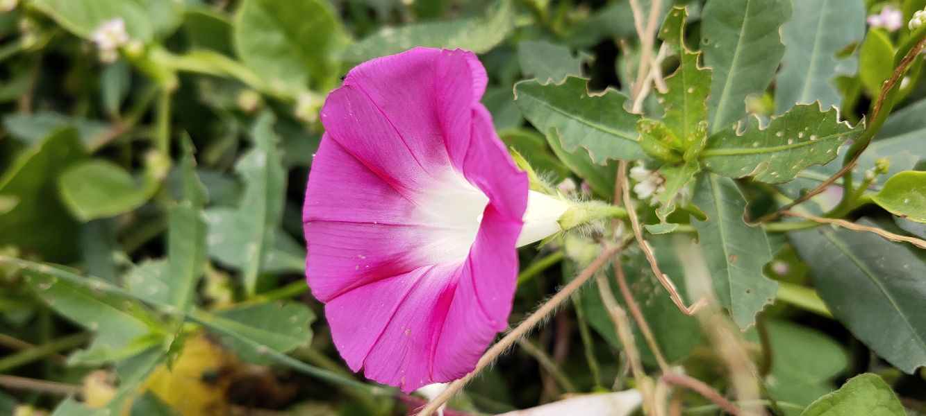 “担保”真的就只是签个字那么简单？