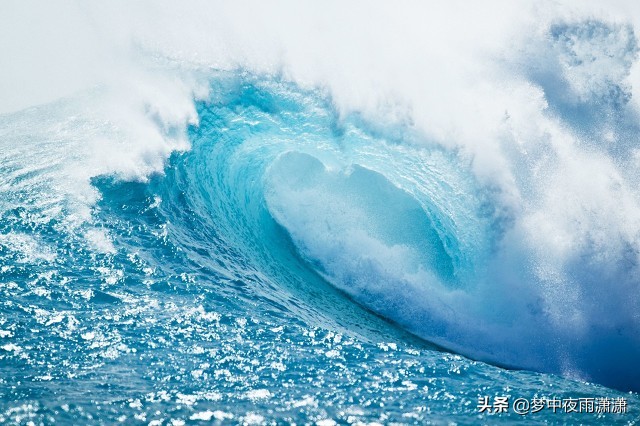 海子，白羊座的悲剧