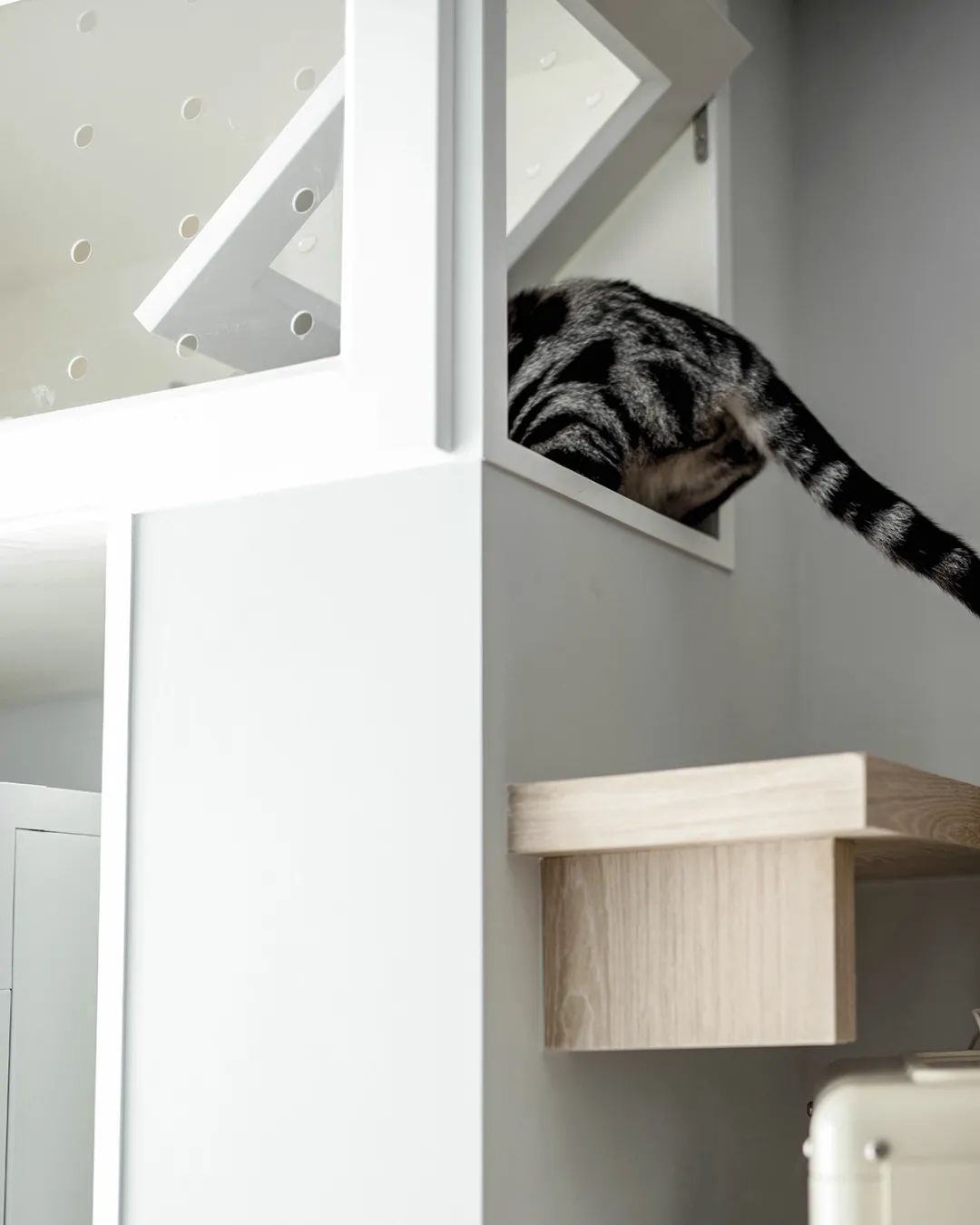 2人4猫，68m²“治愈系”原木简居，姐妹俩把阳光搬回了家