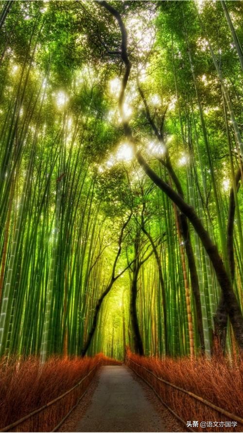 2022年高考复习：论述类文本“观点题”解题之道