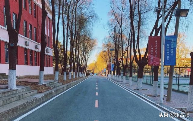 2020中国大学排名：吉林3所大学上榜，第1名家喻户晓