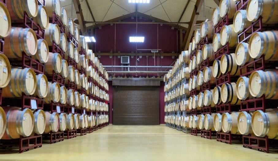 揭秘！中国农大“奇特”专业：实力位居全国第一，学生直接在酒庄品酒上课！