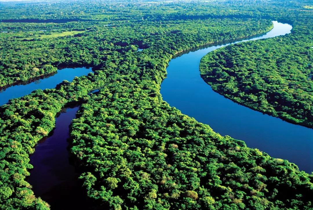 横跨南美9个国家的亚马逊热带雨林面积极大,直接组成了全球森林面积的