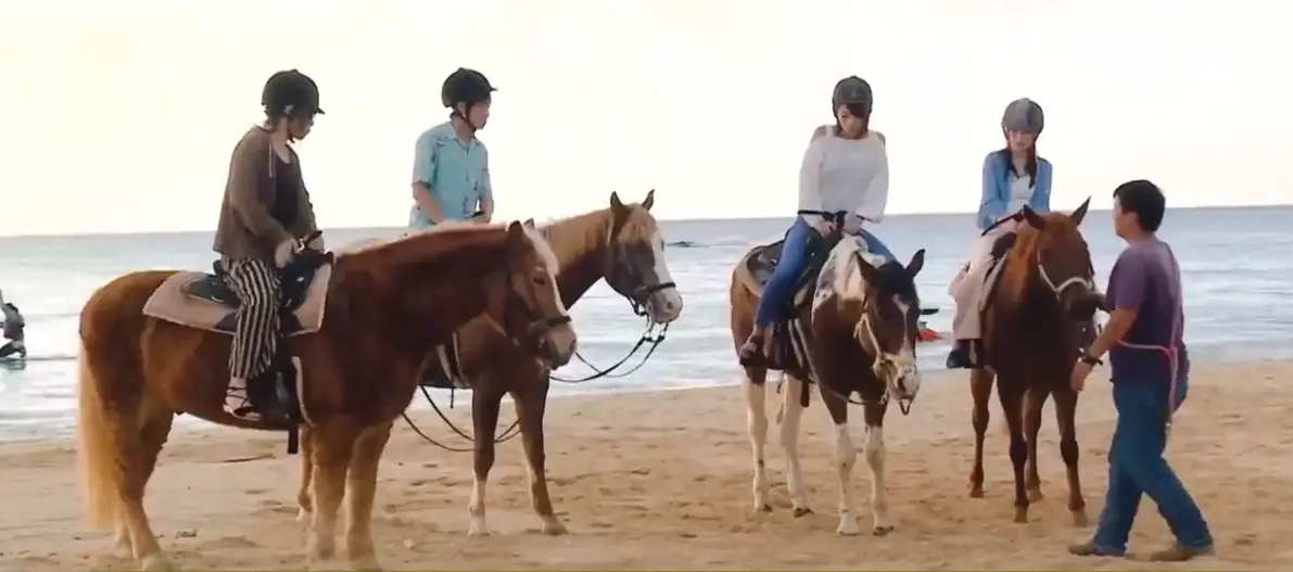 大尺度综艺节目（日本黑历史相亲）