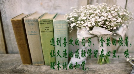 是栉次鳞比？还是鳞次栉比？是沐风栉雨？还是栉风沐雨？